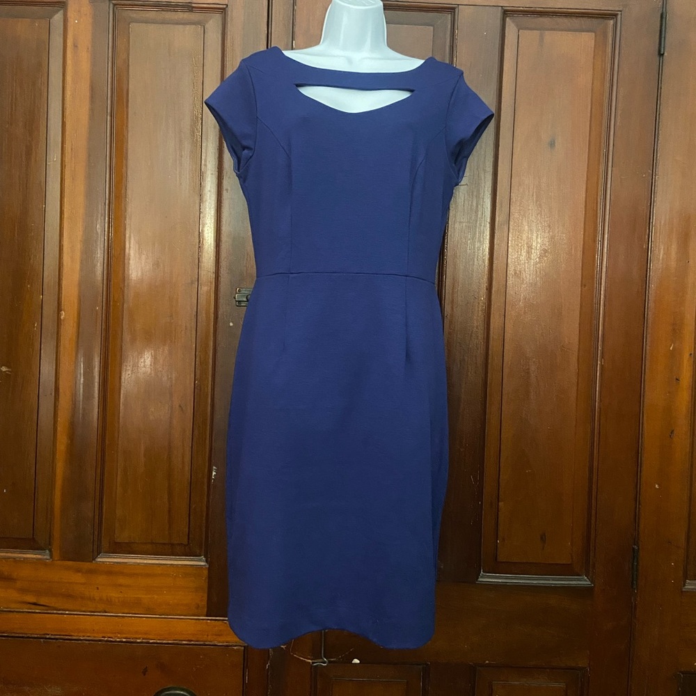 Banana Republic Sheath Dress